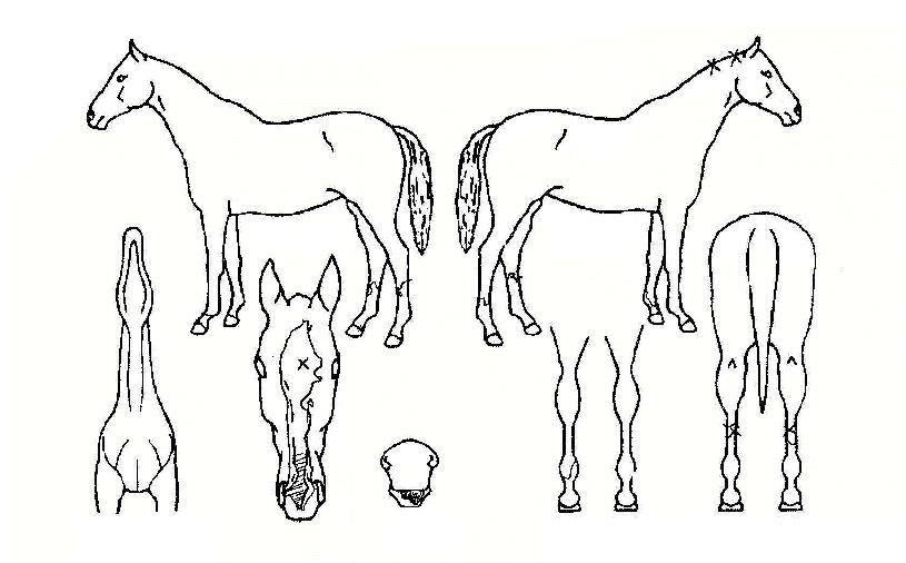 �ܵ������� ����,���,�޸�,�λ�,�ٸ��� Ư¡����