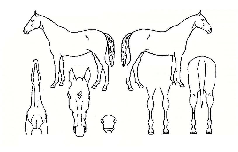 ���ǽ��丮�� ����,���,�޸�,�λ�,�ٸ��� Ư¡����