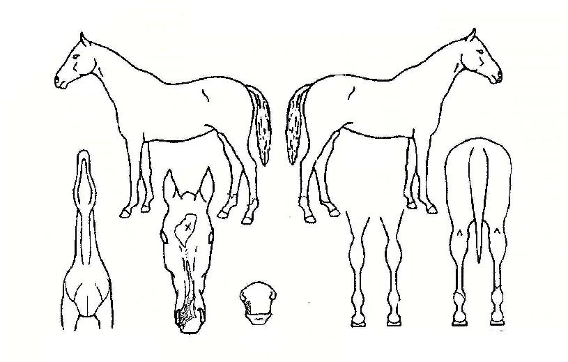 Ÿ�ӻ��Ϸ����� ����,���,�޸�,�λ�,�ٸ��� Ư¡����