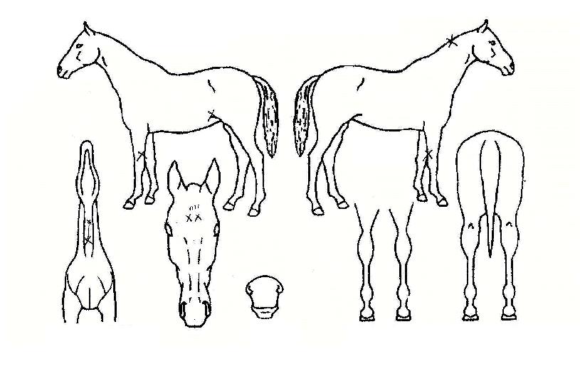 �������� ����,���,�޸�,�λ�,�ٸ��� Ư¡����