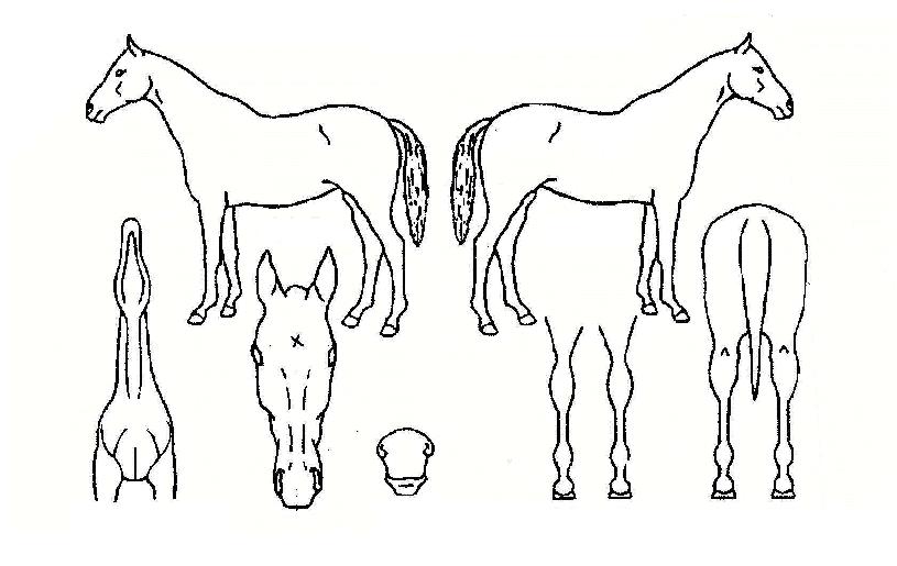 ���۾�Ű�� ����,���,�޸�,�λ�,�ٸ��� Ư¡����