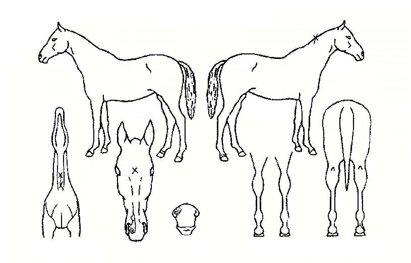 ����í���� ����,���,�޸�,�λ�,�ٸ��� Ư¡����