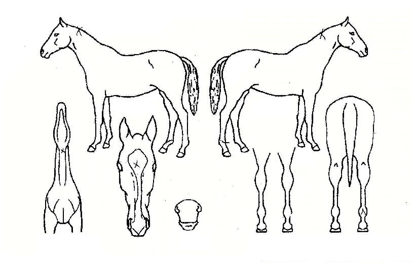 �ص��Դ��� ����,���,�޸�,�λ�,�ٸ��� Ư¡����