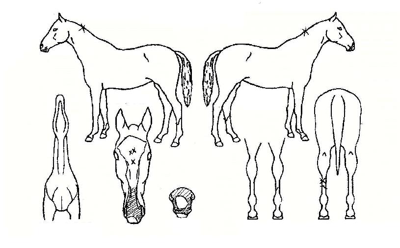 �̶�Ŭ������ ����,���,�޸�,�λ�,�ٸ��� Ư¡����