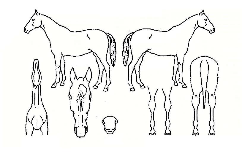 �Ϸʽű��� ����,���,�޸�,�λ�,�ٸ��� Ư¡����