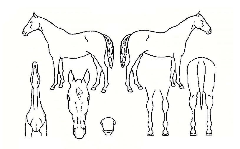 ����ȭ�� ����,���,�޸�,�λ�,�ٸ��� Ư¡����