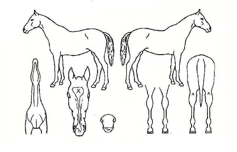 �̽������� ����,���,�޸�,�λ�,�ٸ��� Ư¡����