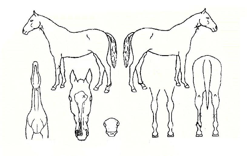 ���̽������ ����,���,�޸�,�λ�,�ٸ��� Ư¡����