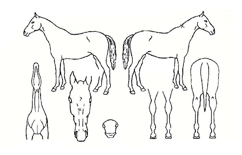 ���丮����Ŀ�� ����,���,�޸�,�λ�,�ٸ��� Ư¡����