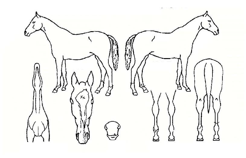 ����Ǯ������ ����,���,�޸�,�λ�,�ٸ��� Ư¡����