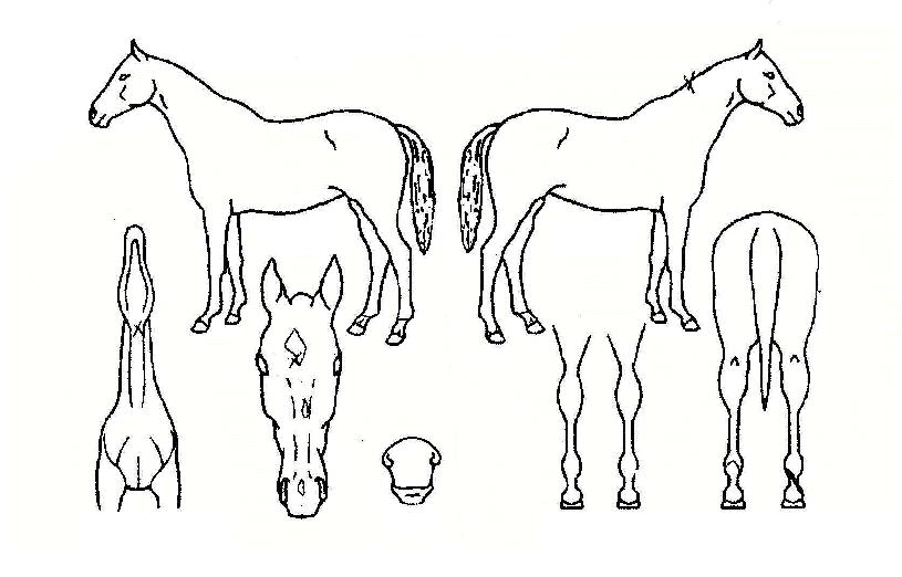 �̽��ͽ������� ����,���,�޸�,�λ�,�ٸ��� Ư¡����