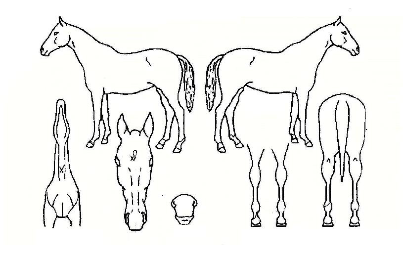 ������ĭ�� ����,���,�޸�,�λ�,�ٸ��� Ư¡����