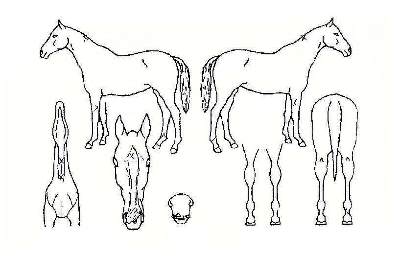 �ֿջ��� ����,���,�޸�,�λ�,�ٸ��� Ư¡����