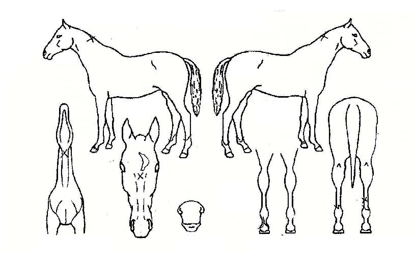 Ŭ�����ô��� ����,���,�޸�,�λ�,�ٸ��� Ư¡����