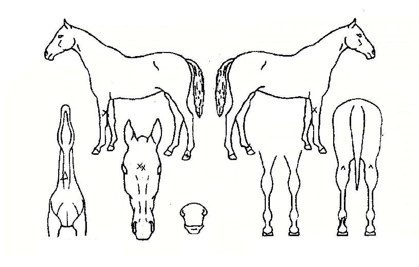 ����Ʈ������ ����,���,�޸�,�λ�,�ٸ��� Ư¡����