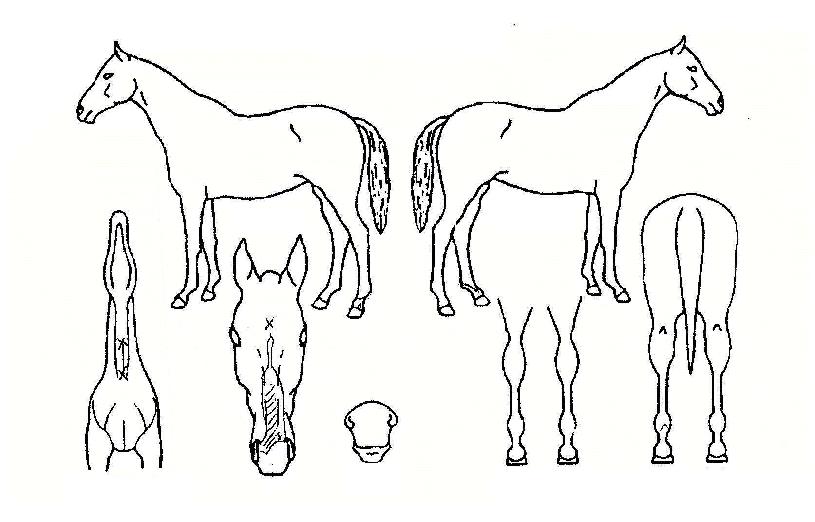 �ظ��ù����� ����,���,�޸�,�λ�,�ٸ��� Ư¡����