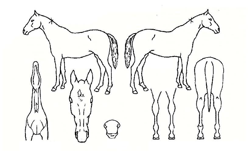 ����ȭ�� ����,���,�޸�,�λ�,�ٸ��� Ư¡����