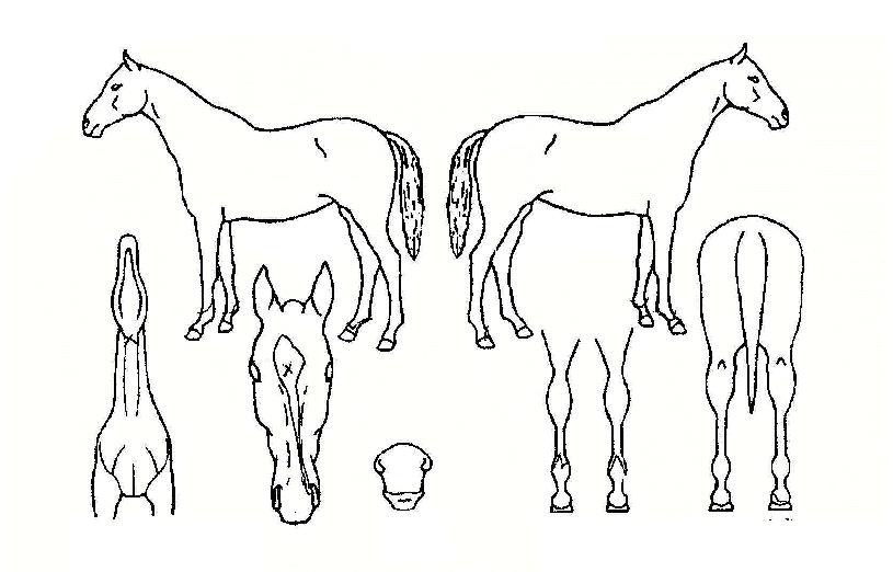 ���̽������� ����,���,�޸�,�λ�,�ٸ��� Ư¡����