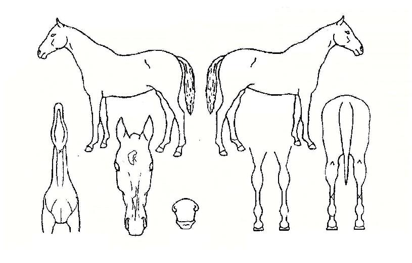 ȯ���Ǻ��� ����,���,�޸�,�λ�,�ٸ��� Ư¡����