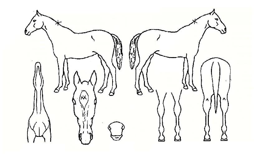 ������ȭ�� ����,���,�޸�,�λ�,�ٸ��� Ư¡����