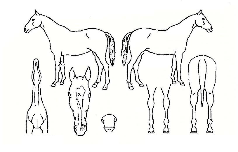 ���̿���¯�� ����,���,�޸�,�λ�,�ٸ��� Ư¡����