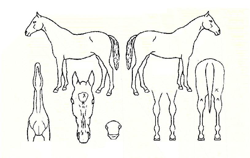 ŷ�����̽��� ����,���,�޸�,�λ�,�ٸ��� Ư¡����