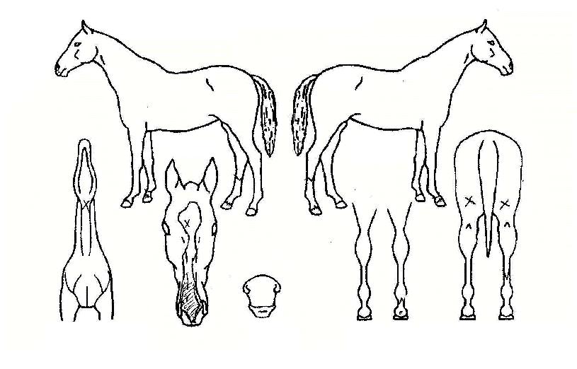 �����⿬�� ����,���,�޸�,�λ�,�ٸ��� Ư¡����