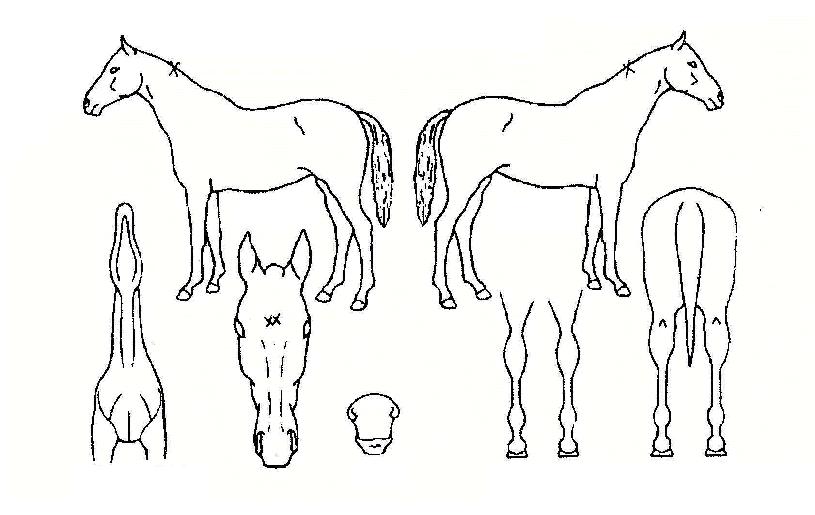 �ϱ���ȸ�� ����,���,�޸�,�λ�,�ٸ��� Ư¡����