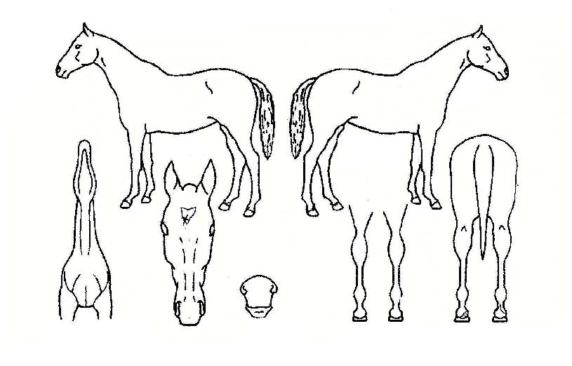 ��ũ�������� ����,���,�޸�,�λ�,�ٸ��� Ư¡����