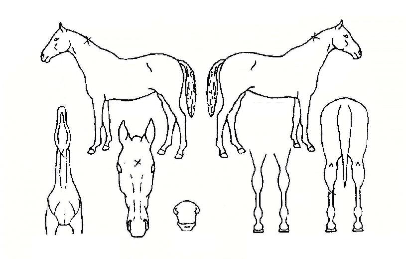 Ƽ�Ʒ��� ����,���,�޸�,�λ�,�ٸ��� Ư¡����