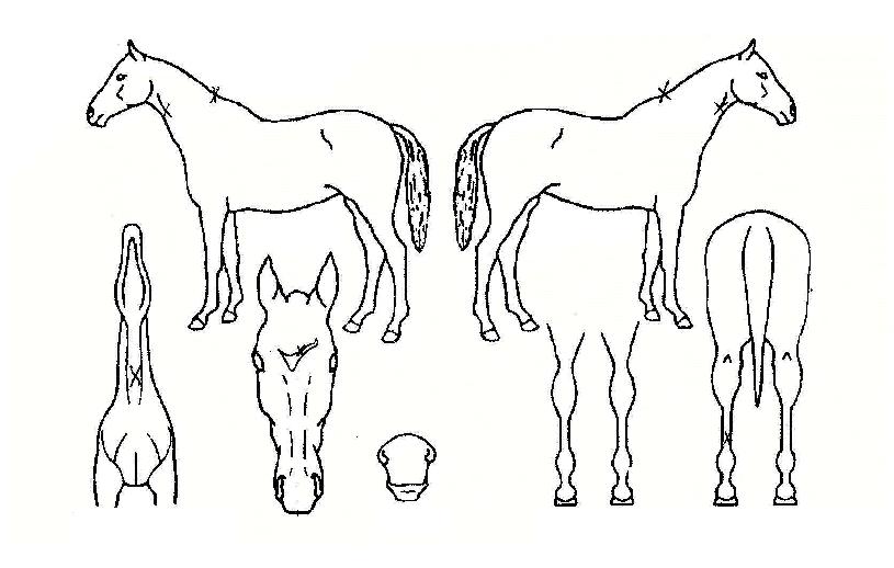 �������� ����,���,�޸�,�λ�,�ٸ��� Ư¡����