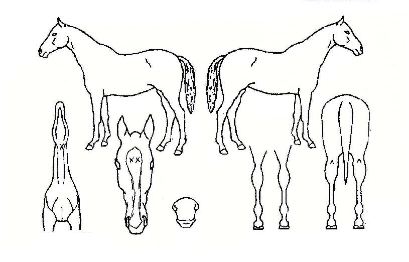 ���࿭���� ����,���,�޸�,�λ�,�ٸ��� Ư¡����