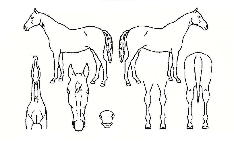 �ʵ巯���� ����,���,�޸�,�λ�,�ٸ��� Ư¡����