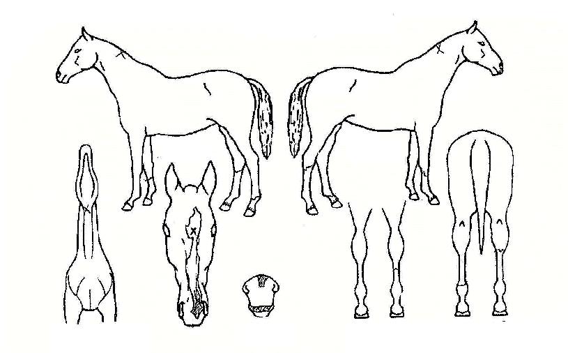 �밨������ ����,���,�޸�,�λ�,�ٸ��� Ư¡����