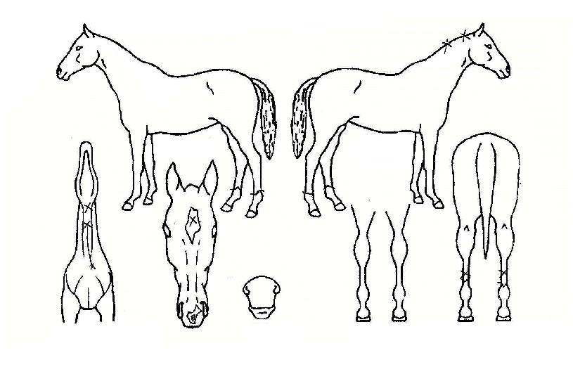 ���������� ����,���,�޸�,�λ�,�ٸ��� Ư¡����