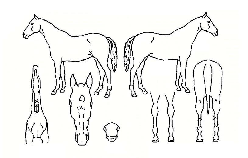 �ʿ������� ����,���,�޸�,�λ�,�ٸ��� Ư¡����