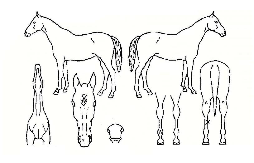 ��Ʈ������ ����,���,�޸�,�λ�,�ٸ��� Ư¡����