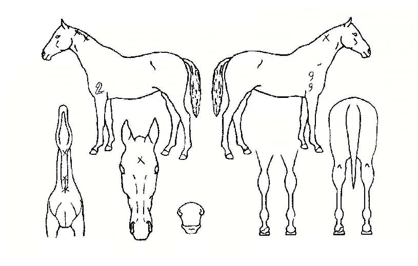 �����÷��̽��� ����,���,�޸�,�λ�,�ٸ��� Ư¡����