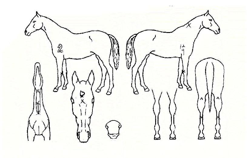 ������ũ�� ����,���,�޸�,�λ�,�ٸ��� Ư¡����