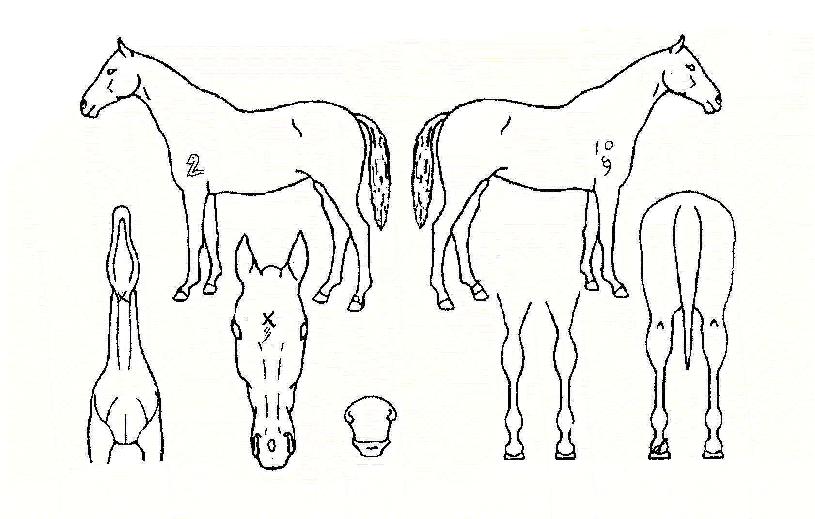 ��Ű������ ����,���,�޸�,�λ�,�ٸ��� Ư¡����