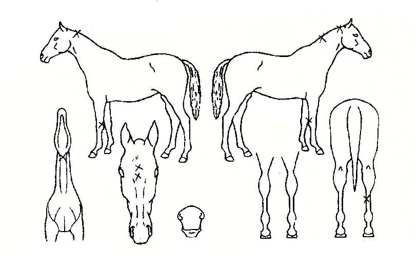 ���������ڸ��� ����,���,�޸�,�λ�,�ٸ��� Ư¡����