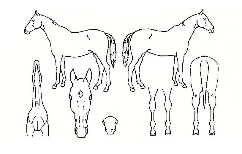 ���κ����� ����,���,�޸�,�λ�,�ٸ��� Ư¡����