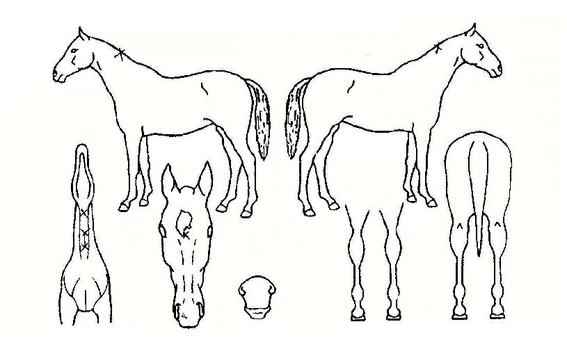 À§´×ÆÐ¼ÇÀÇ Ãø¸é,¿ì¸é,µÞ¸é,µÎ»ó,´Ù¸®ÀÇ Æ¯Â¡µµÇØ