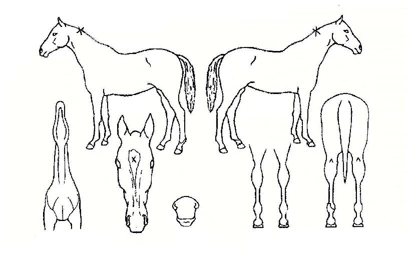 �ֵ����� ����,���,�޸�,�λ�,�ٸ��� Ư¡����