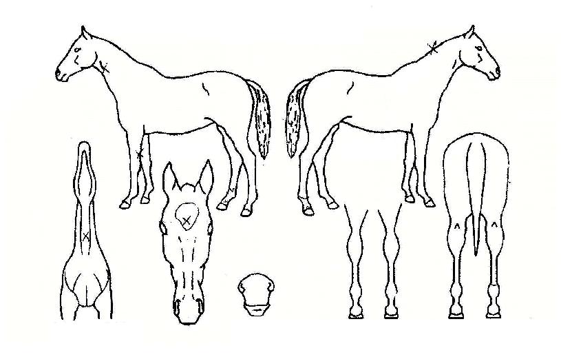 ��º����� ����,���,�޸�,�λ�,�ٸ��� Ư¡����