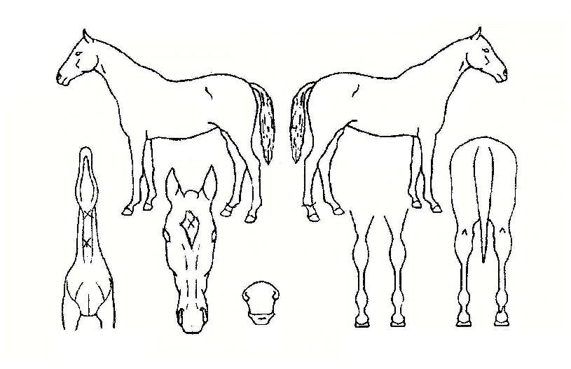 �����̺��� ����,���,�޸�,�λ�,�ٸ��� Ư¡����