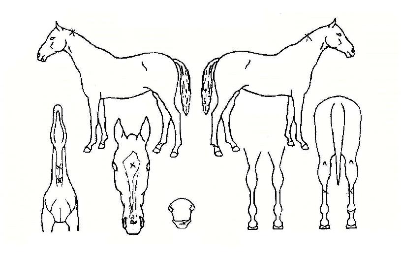 �̽��Ϳö��� ����,���,�޸�,�λ�,�ٸ��� Ư¡����