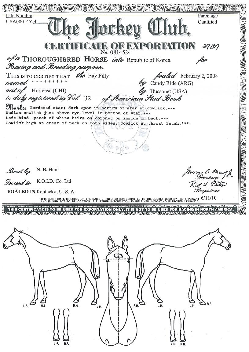 ��ǰź���� ����,���,�޸�,�λ�,�ٸ��� Ư¡����