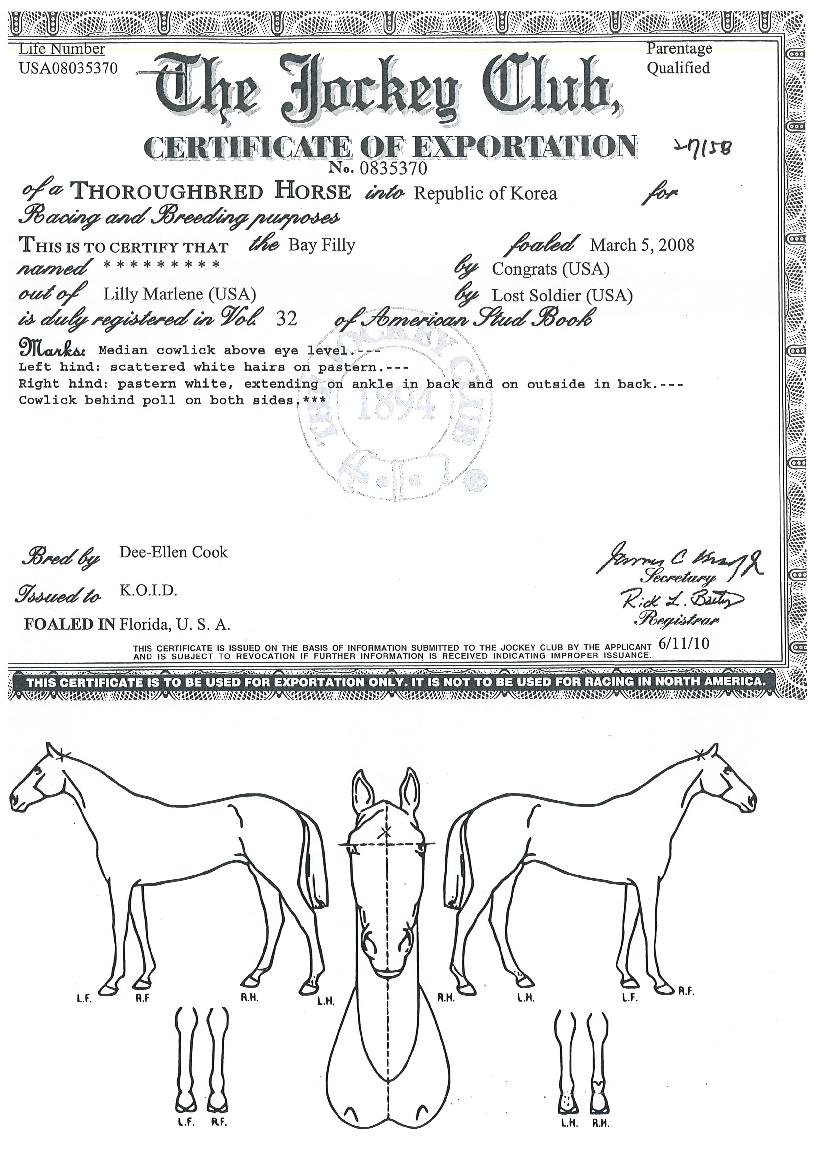 ¸Å¸ÓµåÀÇ Ãø¸é,¿ì¸é,µÞ¸é,µÎ»ó,´Ù¸®ÀÇ Æ¯Â¡µµÇØ