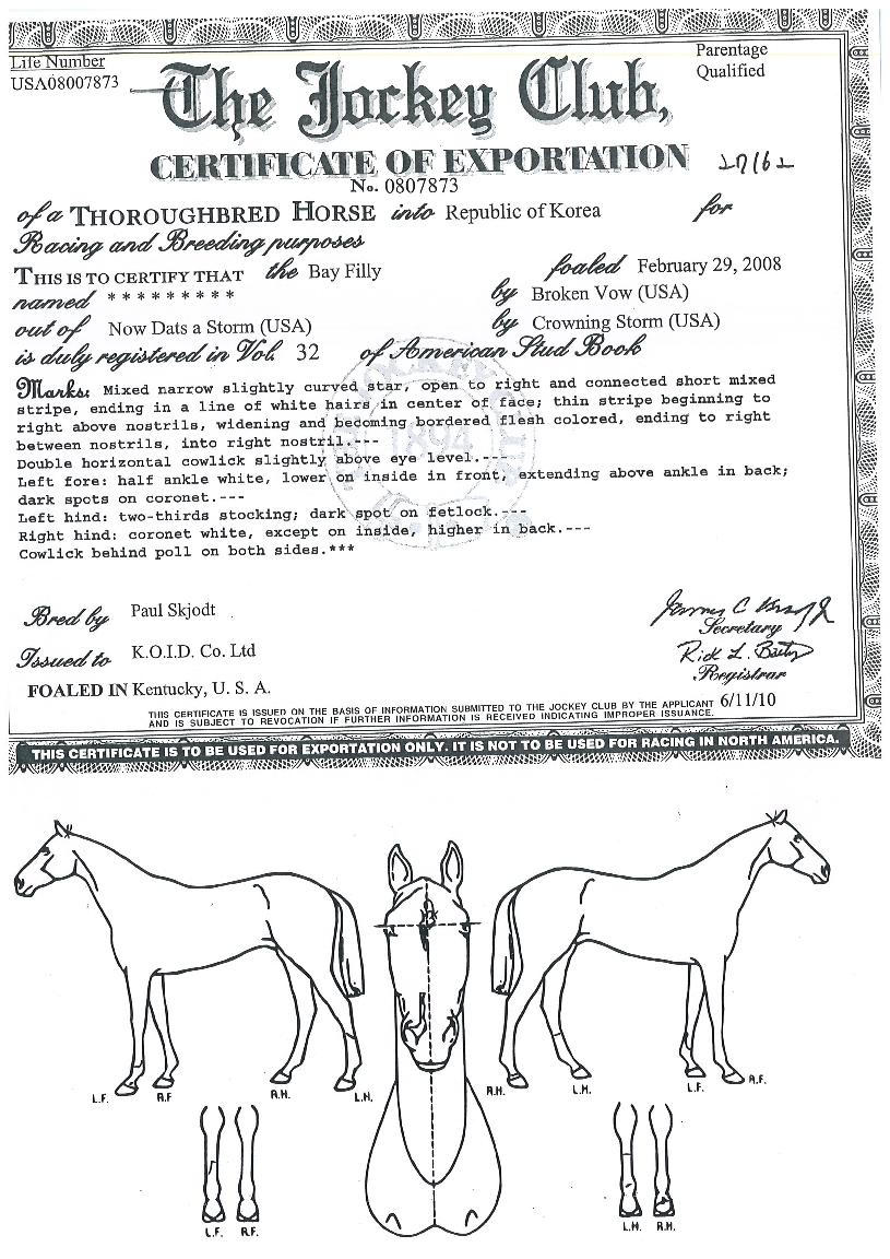 µ¹Ç³·¹À̵ðÀÇ Ãø¸é,¿ì¸é,µÞ¸é,µÎ»ó,´Ù¸®ÀÇ Æ¯Â¡µµÇØ